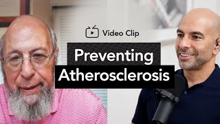 Preventing Atherosclerosis 2 Flaws with the 10 Year Risk Approach  The Peter Attia Drive Podcast [upl. by Sibley]