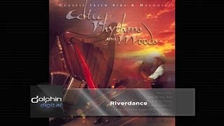 The Celtic Orchestra  Riverdance [upl. by Griggs]