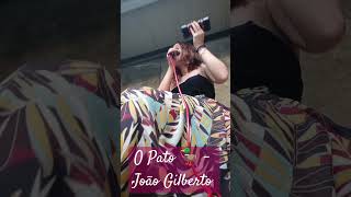 O Pato 🦆opato bossanova joaogilberto joãogilberto bossanovacover bossanovajazz bossanovamusic [upl. by Chrisy722]