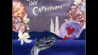 The Capricorns  Pure Magical Love [upl. by Niro517]