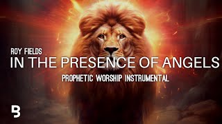 Prophetic Worship Music  In The Presence of Angels Intercession Prayer Instrumental  Roy Fields [upl. by Ashli]