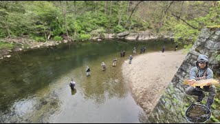 Shoulder To Shoulder For The Invasive Stocked Native Wild Brown Trout [upl. by Aniroc]