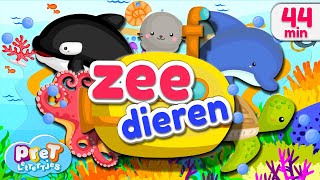 Dierengeluiden eerste woordjes en meer Pretlettertjes Zeedieren [upl. by Nicky]