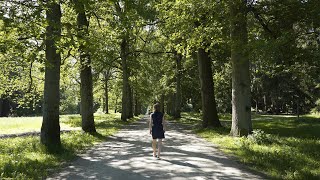 Arboretum de Tervuren 🌳 Promenade relaxante nature en forêt de Soignes  Belgique près de Bruxelles [upl. by Llenna]