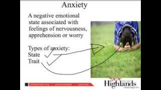 What is arousal anxiety and stress [upl. by Valley]