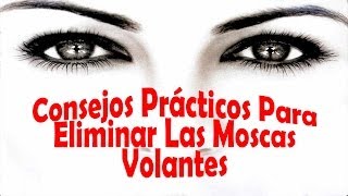 Como Eliminar Las Moscas Volantes  Consejos Prácticos y Sencillos [upl. by Bourne]