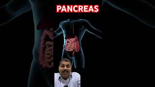 Pancreas malayalam diabetes mellitus doctor [upl. by Atikahc]