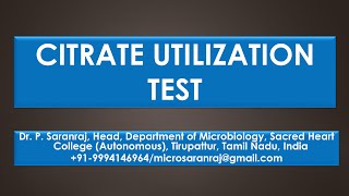 Citrate Utilization Test [upl. by Friederike942]