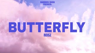 BUTTERFLY  Reisz VISUALIZER [upl. by Grishilde362]