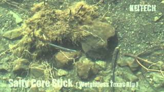 Salty Core Stick Weighatless Texas Rig Under Water Action Movie Type 1 [upl. by Yesdnik478]