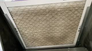 Do Air Filters Actually Make a Difference in Your Home [upl. by Gallenz]