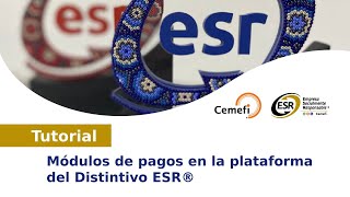 Módulos de pagos en la plataforma del Distintivo ESR® [upl. by Elsi]