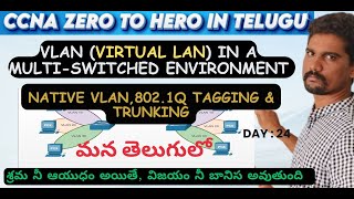 VLAN in a MultiSwitched environment  8021Q Tagging  Trunking Native VLAN vlan ccna cisco [upl. by Attenyw]