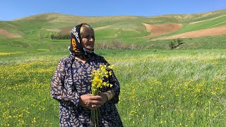 Cooking dolma in village  village lifestyle iran  iran nomadic lifestyle [upl. by Aigroeg]