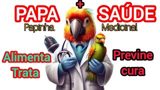 a verdadeira papinha medicinal para pássaros ela alimenta previne e trata papa  Saúde [upl. by Knight873]