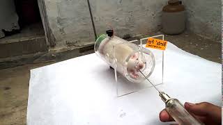 Rat Restrainer Mice Restrainer Rabbit Restrainer Needle for mice amp rat WhatsApp91 9675907582 [upl. by Yenreit968]