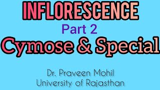 Inflorescence  Cymose amp Special  Part 2  By Dr Praveen Mohil  UOR [upl. by Season38]