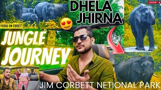 DHELA AUR JHIRNA ZONE KI SAFARI IK SAATH KR LI 🤫 yuvrajjimcorbett [upl. by Maurizio]