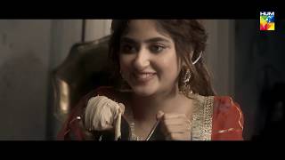 Aangan  OST  HUM TV Drama [upl. by Atinehc]