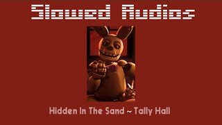 Hidden In The Sand  Tally Hall  Slowed and Echoed [upl. by Daukas]