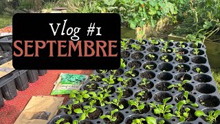 Vlog 1  Septembre le potager les semis les récoltes [upl. by Currier]