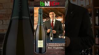 Scegliere il Vino  Franciacorta DOCG Brut Ferghettina [upl. by Yadnus261]