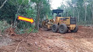 Motor Grader Knocks Wood To Increase Road Width [upl. by Bushweller]