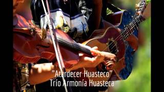 Los Mejores Huapangos Huastecos del Trío Armonía Huasteca [upl. by Aziaf]