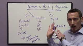 Signs and Symptoms of Vitamin B5 Deficiency [upl. by Naehs162]