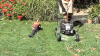 Lawn Mowing Comparison MULCHER Vs CATCHER [upl. by Synn]