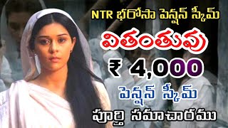 Widow Pension Application ProcessNTR BHAROSA PENSION SCHEMELatest News today in TeluguNew pension [upl. by Ztnaj489]