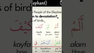 QURAN Chapter 105 AlFil Elephant MODERN English Translation amp Transliteration [upl. by Ortiz]