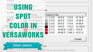 Using Spot Color in Versaworks [upl. by Aehtela]