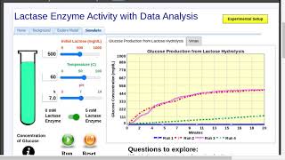 Lactase Enzyme Activity with Data Analysis Simulation [upl. by Aibos]