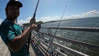 Fishing at Deepwater Bend Reserve and Shorncliffe QLD [upl. by Gnahk]