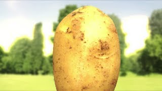 Günsches potato friend Hitler Parody [upl. by Averell]