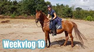 Shoppen bij de Epplejeck amp shoplog  Weekvlog 10 [upl. by Karina]