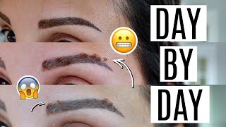 MICROBLADING HEALING PROCESS DAY BY DAY FOR THE ENTIRE HEALING PROCESS [upl. by Dworman]