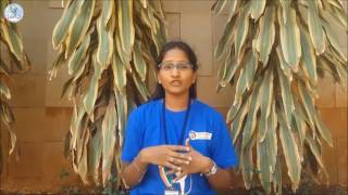 My initiative  I am LEADer  Divya [upl. by Eener]