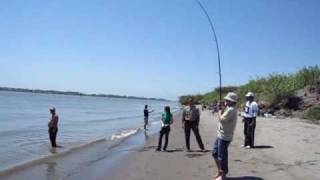 Rio Vista Fishing Sandy Beach Park Sturgeon Part 1 Sacramento river California [upl. by Hayden]