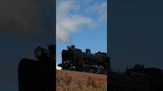 STEAM Leaving Warragul A2 986 Heritage Shuttles  trains [upl. by Luke]