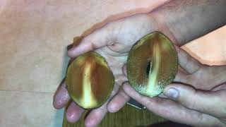 What is Sapodilla What Does it Taste Like [upl. by Itsrik]