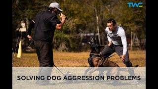 SOLVING DOG AGGRESSION WITH BITE WORK  Live Conversation with 2time World Champion Ivan Balabanov [upl. by Mcclelland880]