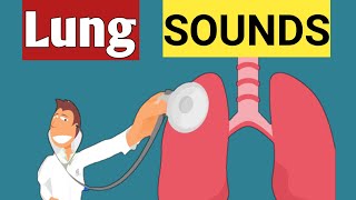 Breath Sound or Lung sound  Abnormal Lung sound  lets Hear it [upl. by Pyotr624]