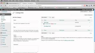 How to Create subsub Categories in WordPress [upl. by Soo]