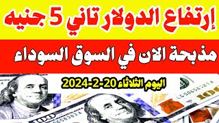 اسعار الدولار وجميع العملات في السوق السوداء اليوم الدولار اليوم الثلاثاء 2022024 في مصر [upl. by Johnathan564]