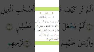 Surah AlFil [upl. by Aralc]