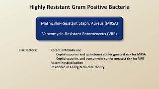 Antibiotics for Gram Positive Infections Antibiotics  Lecture 4 [upl. by Chrissa]