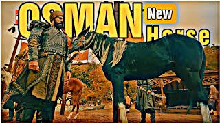 OSMAN Ghazi Selects His New Horse 🐎 After Karayel DeathKurulus Osman Attitude Status 🔥🔥🔥 [upl. by Jenks670]