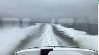 43 knots  Twin Volvo Penta IPS 1350 Sea Trial  Z55 Zeelander Yachts [upl. by Ynaiffit]